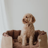The Boo Bed - Brown