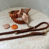 Halsband Asti